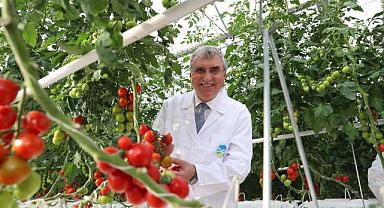 Ziraatçi başkanla Sakarya üretiyor Türkiye kazanıyor!