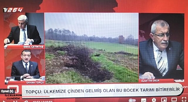 Çin'den gelen böcek, fındığı tehdit ediyor!