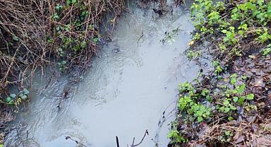 MUHTAR RAMAZAN KAYA , ÇEVRE KATLİAMINA EL ATTI!