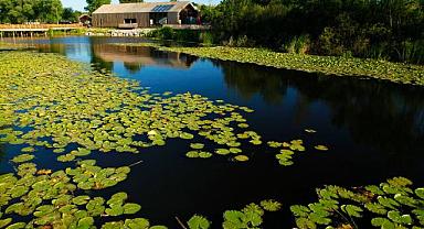 Başkan Alemdar: “Doğal mirasımızı en etkin şekilde koruyarak dünyaya tanıtacağız”