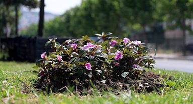 Büyükşehir bayramda misafirleri rengarenk çiçeklerle karşılayacak