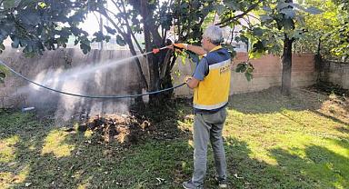 Akyazı Belediyesi'nden Kahverengi Kokarca Böceği ile mücadelede örnek davranış! 