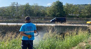 HAŞEREYLE MÜCADELE!