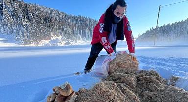 Hayat Arama Kurtarma Derneği’nden Çiğdem Yaylası’nda Örnek Davranış