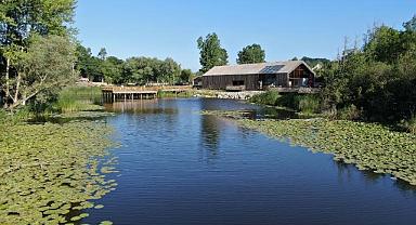 Longoz ve İl Ormanı’nın muhteşem doğası 2024’ün gözdesi oldu.