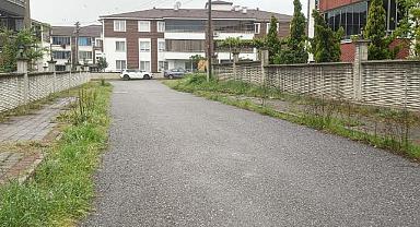 Belediye yetkililerinden ot temizleme sözü!