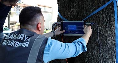 Bu cihaz Sakarya’da yeşil cennetin tomografisini çekecek
