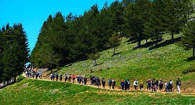 Doğaseverler Hendek Dikmen Tepesine çıktı!
