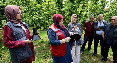 Sakarya’da kahverengi kokarca kabusuyla mücadele başladı