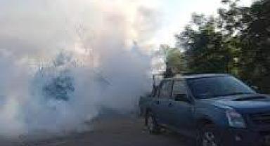 HENDEK'TE SİNEK SORUNU BÜYÜYOR