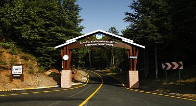 Sakarya İl Ormanı Tabiat Parkına ziyaretçi akını