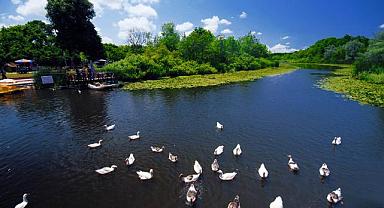 Sakarya’nın tabiat cenneti bayramda ziyaretçi rekoru kırdı