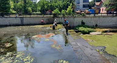 Uludere Çayında temizlik çalışmaları başladı