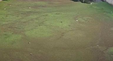 Zafer Partisi, Uludere Çayı için, Hendek Belediyesine çağrı yaptı