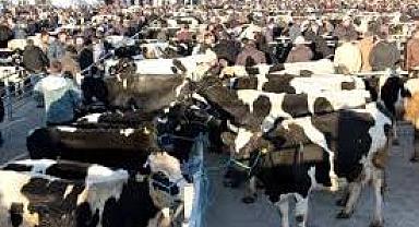 81 İldeki Tüm Hayvan Pazarları Geçici Olarak Kapatıldı