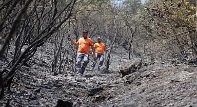 Büyükşehir, can dostları için harekete geçti 