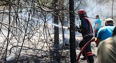 Büyükşehir İtfaiyesi tüm gücüyle yangın bölgelerine müdahalede bulunuyor
