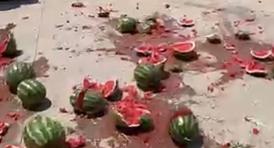 Geyve'de isyan eden çiftçi, karpuzları parçaladı