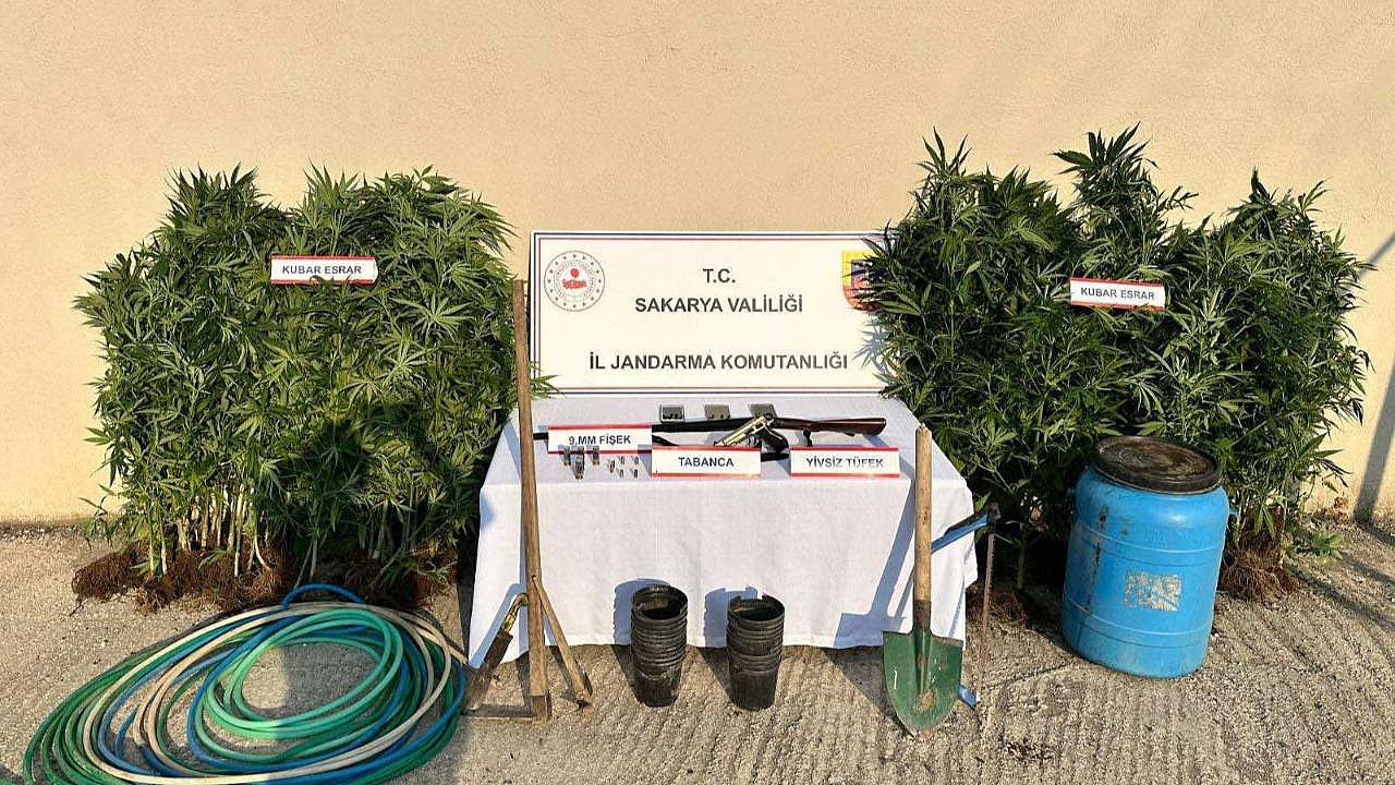 HENDEK'TE UYUŞTURUCU OPERASYONU!