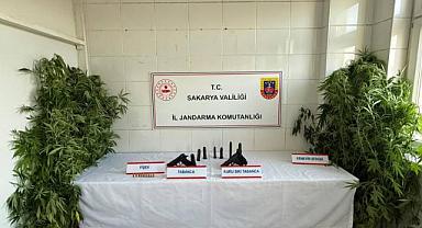 JANDARMADAN UYUŞTURUCU OPERASYONU