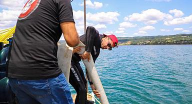 Sapanca Gölü’nün su kalitesi koruma altına alınıyor