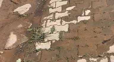 SASKİ BAKIYOR, SULAR BOŞA AKIYOR!