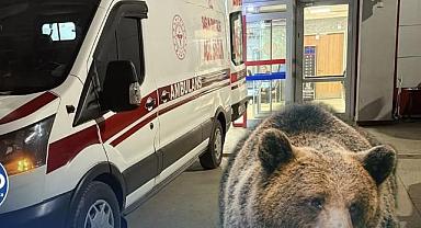 AYININ SALDIRDIĞI VATANDAŞ HASTANELİK OLDU