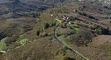 Büyükşehir’den Yeşilin Tam Ortasına Çizgi Gibi Dokunuş