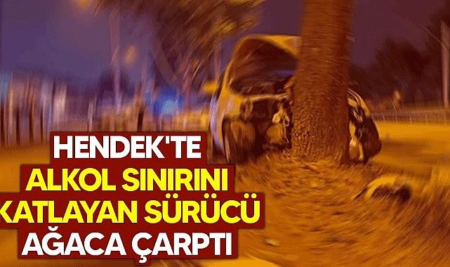 Hendek’te alkollü sürücü ağaca çarptı 