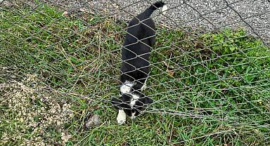 Kocaali’de Bir Canı 11 Metrelik Çukurdan Sağ Salim Kurtardılar