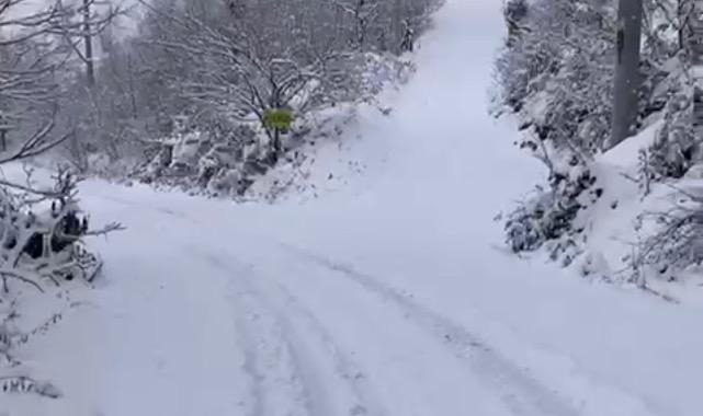 Valilik duyurdu: Yaylalara çıkışlar yasaklandı!