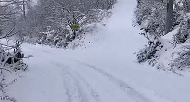 Valilik duyurdu: Yaylalara çıkışlar yasaklandı!