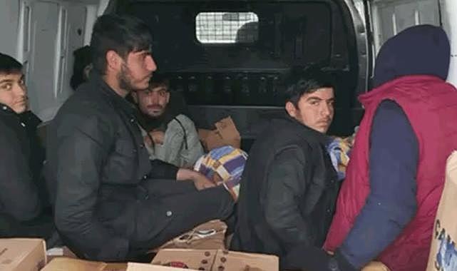 Hendek'te Deterjan kutuları arasından kaçak göçmen çıktı!