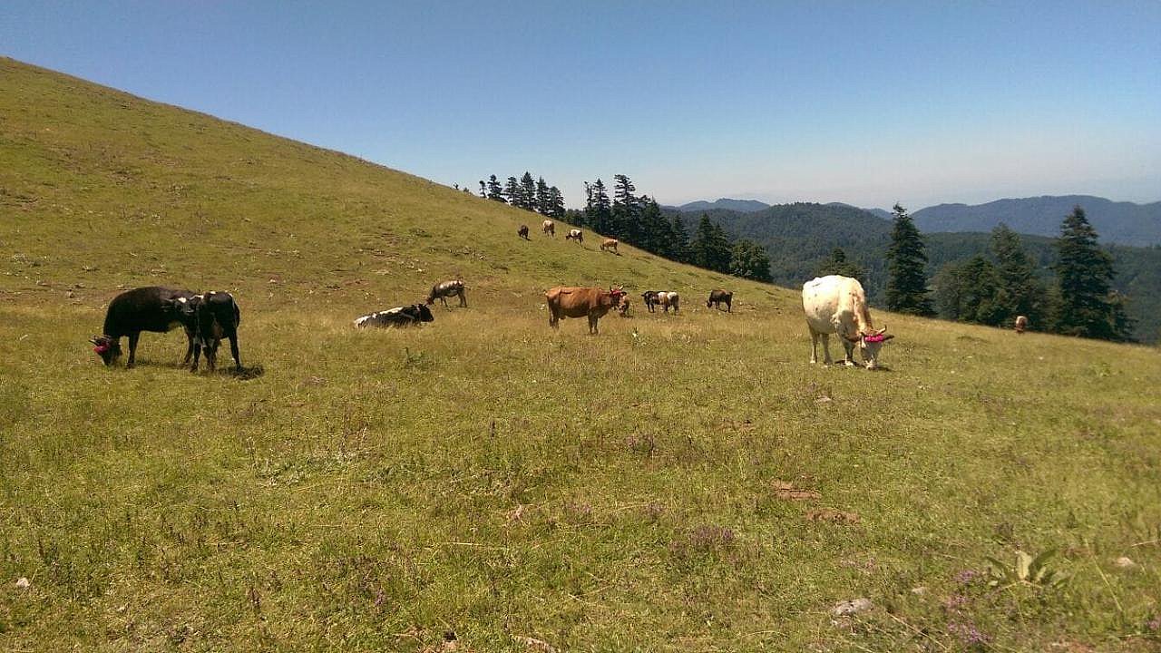 KIRSAL MAHALLE OLMANIN AVANTAJLARI NELERDİR?