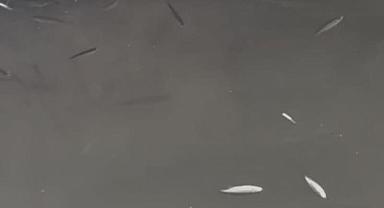 BAŞKAN BAYRAKTAR’DAN ULUDERE AÇIKLAMASI