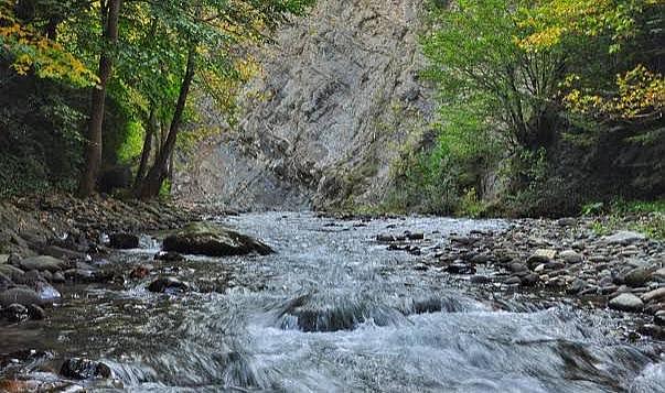 Hendek Kadifekale Köyünü Tanıyalım…