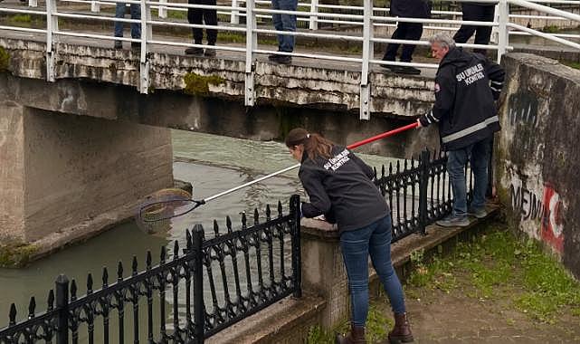 HENDEK KAYMAKAMLIĞI ÖLÜ BALIKLARLA İLGİLİ DUYURU YAPTI