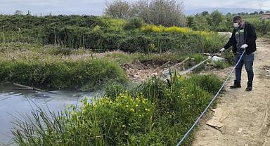 HENDEK BELEDİYESİ’NDEN SİNEK VE HAŞERELERE KARŞI ERKEN ÖNLEM