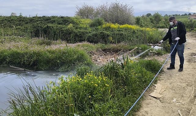 HENDEK BELEDİYESİ’NDEN SİNEK VE HAŞERELERE KARŞI ERKEN ÖNLEM