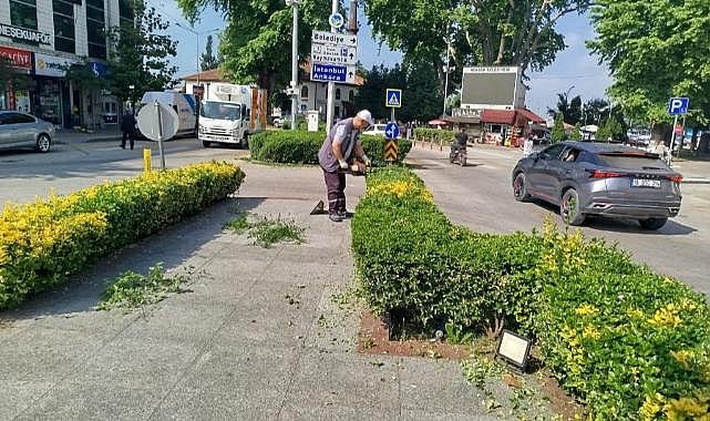 HENDEK’TE YEŞİL ALANLARDA KAPSAMLI TEMİZLİK ÇALIŞMASI