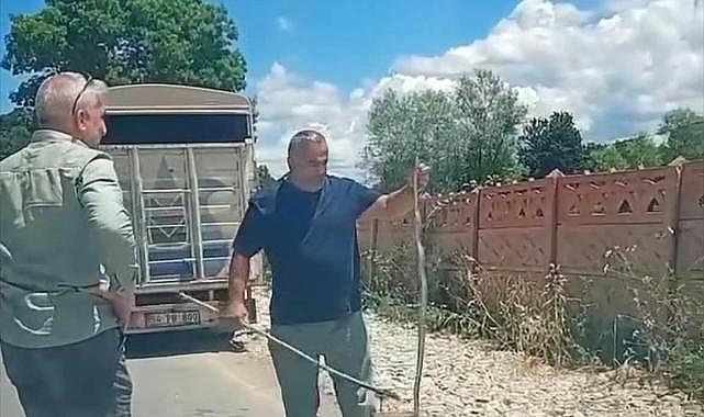 YOLUN ORTASINDAKİ YILANI ELİNLE TUTUP, KENARA KOYDU