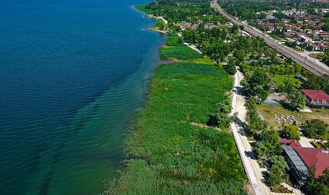 Zehirli sazlıklar gitti, Sapanca Gölü kıyısını şimdi tertemiz sazlıklar süsledi