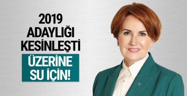 Meral Akşener'in 2019 adaylığı kesinleşti bomba yazı!