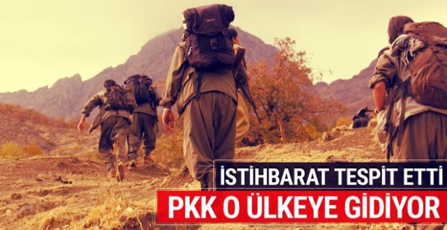 PKK aldığı büyük yenilgiler sonrası rotayı o ülkeye çevirdi