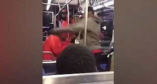 Tacizci şoke oldu! Yumruklar peş peşe geldi...